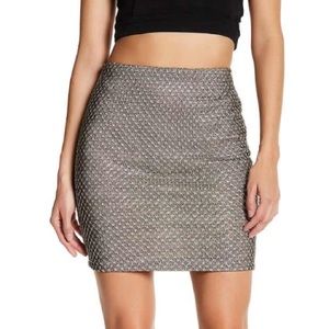 Embroidered Metallic Skirt